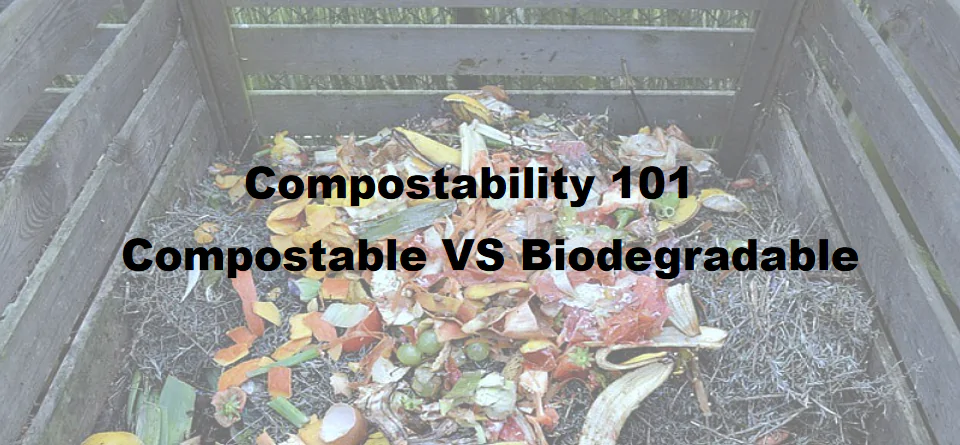 Compostability 101: Compostable VS Biodegradable